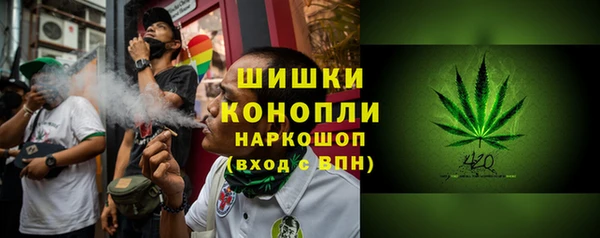 ПСИЛОЦИБИНОВЫЕ ГРИБЫ Балабаново