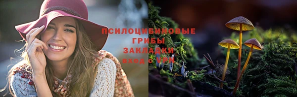ПСИЛОЦИБИНОВЫЕ ГРИБЫ Балабаново