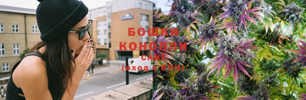ПСИЛОЦИБИНОВЫЕ ГРИБЫ Балабаново