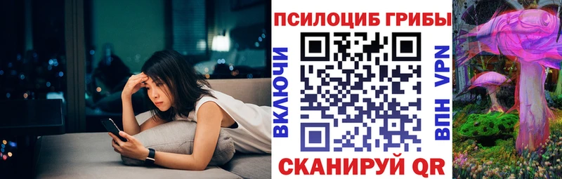 Псилоцибиновые грибы MAGIC MUSHROOMS  где купить наркоту  Чусовой 
